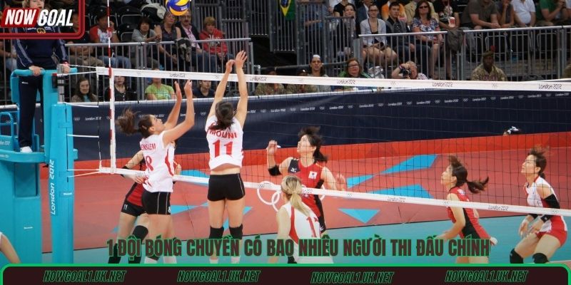 1 đội bóng chuyền có bao nhiêu người thi đấu chính