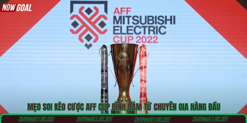 Mẹo soi kèo cược AFF Cup đình đám từ chuyên gia hàng đầu
