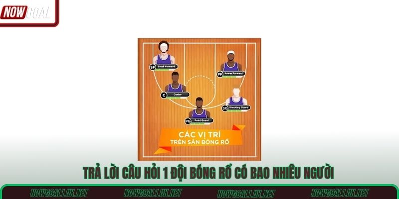 Trả lời câu hỏi 1 đội bóng rổ có bao nhiêu người